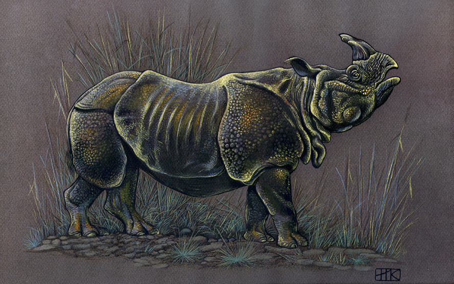 Носорог рептилия. Носорог. Носорог для рисования. Носорог рисунок. Страшный носорог.