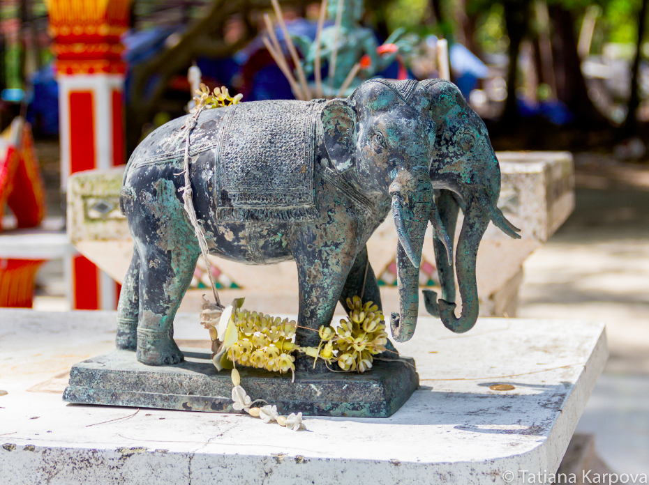 «Удовольствие быть» фотовыставка «Удовольствие быть» фотовыставка